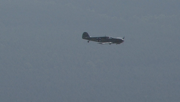 Eine seltene Begegnung