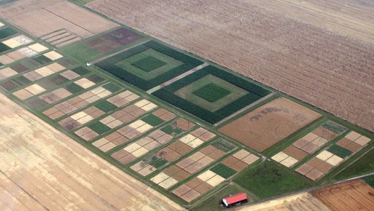 Ein Versuchsacker in der Nähe von Belzig Versuchsacker