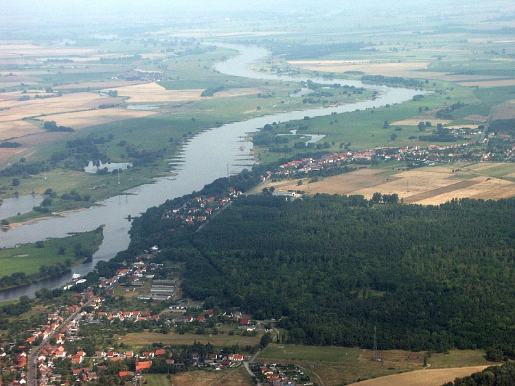 Die Elbe nördlich von Magdeburg